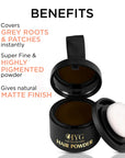 Cover Up Instant Coverage Hair Powder